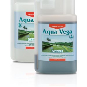 IMG_aqua_canna_vega_1L.jpg